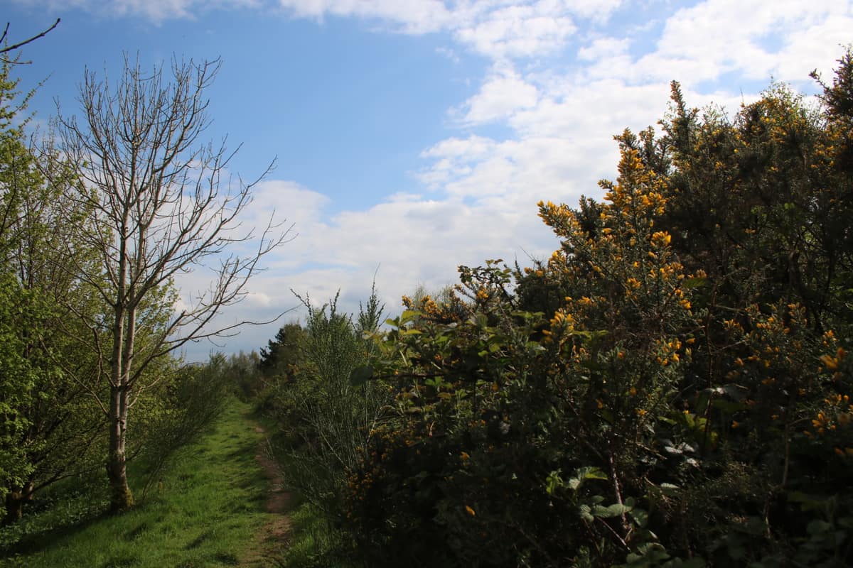 Council secures court order following unauthorised encampment at Oldham Edge — Oldham news photo