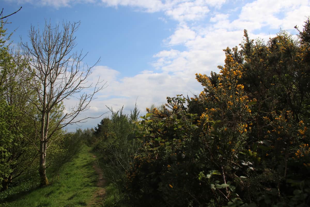 Council secures court order following unauthorised encampment at Oldham Edge — Oldham news photo